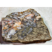 Highly Mineralized Gold Ore Slab -Dense Sulfides -Unpolished Specimen Display